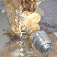 savd-seal-cap-with-chain-close-up_tn